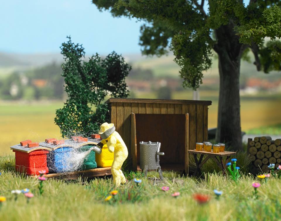 H0 V�ela� s �ly