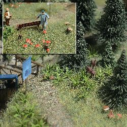 H0 Kapradiny a houby