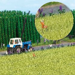 H0 Pole nezral�-je�men