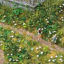 H0 Poln� rostliny - set