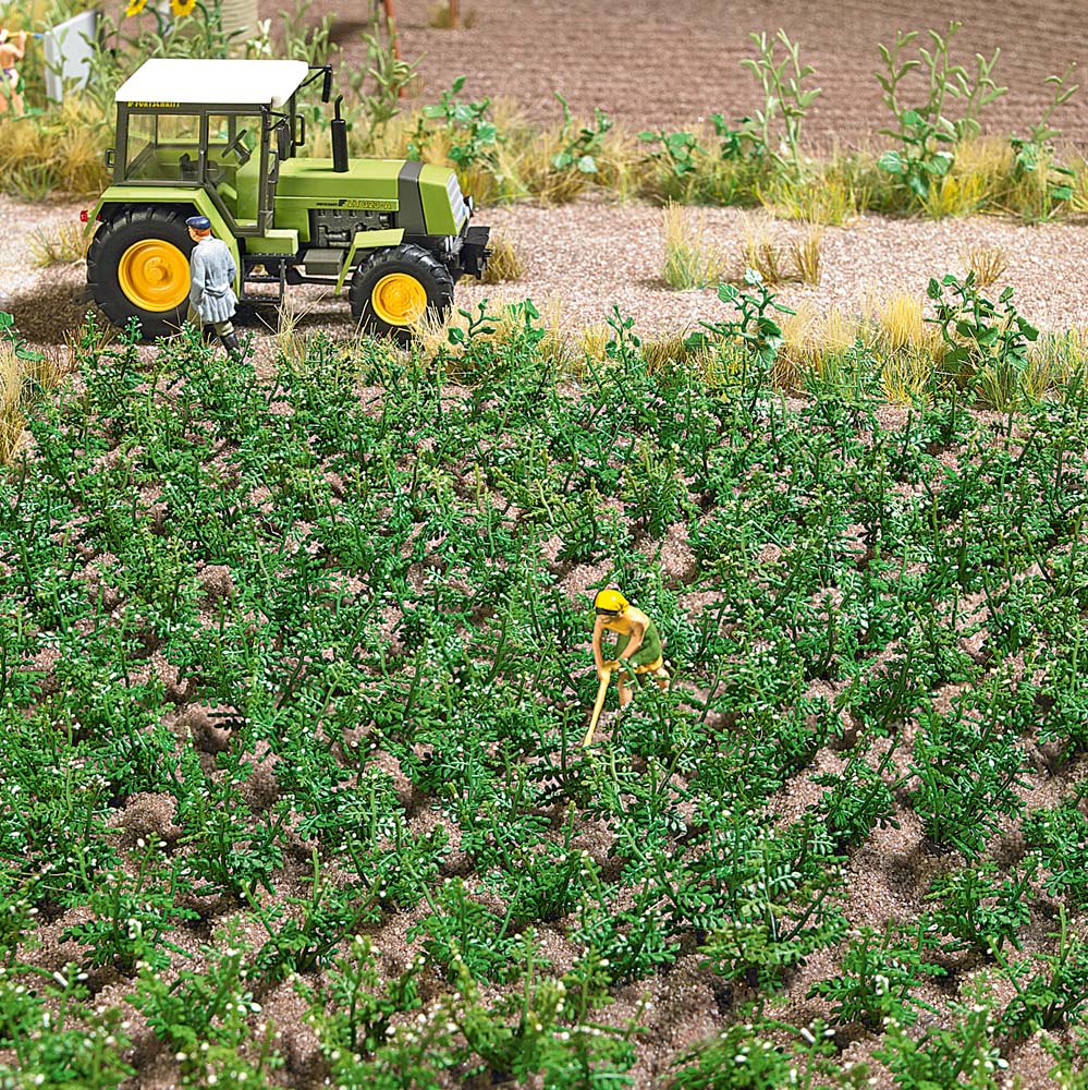 H0 Bramborov� pole