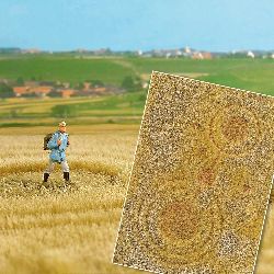 Pole s kruhy v obil�