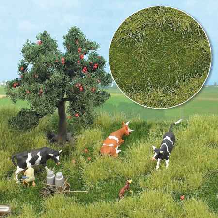 Letn� louka, 2 barvy