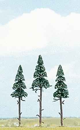 3 vysokokmenn� smrky