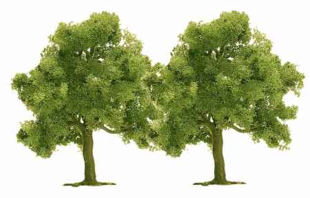 Jablo� a �vestka