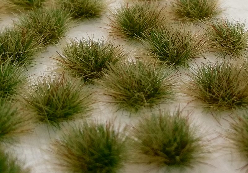 Drny dvoubarevn� - pozdn� l�to