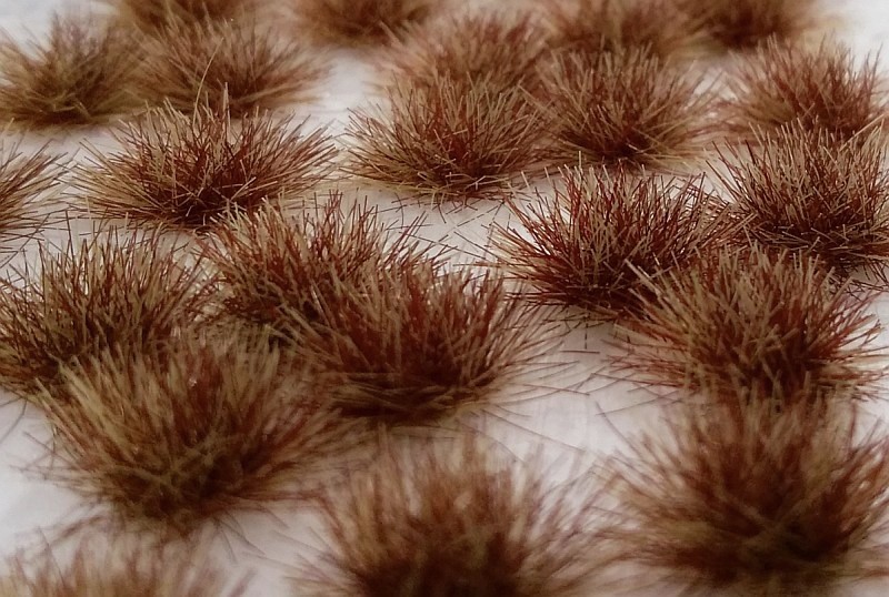 Drny dvoubarevn� - pozdn� podzim