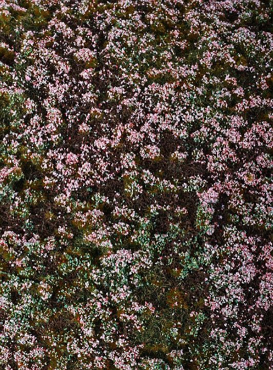 Lesn� z�klad - V�esovi�t� - MINIPACK