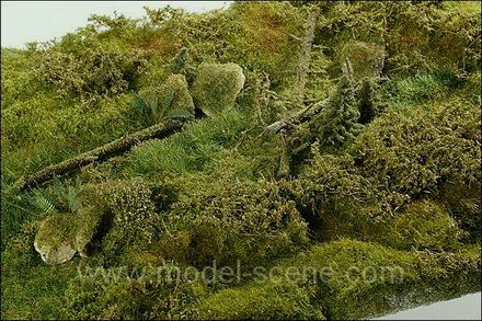 Lesn� prameni�t�