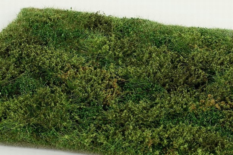 Divo�ina s ke�i - �asn� l�to