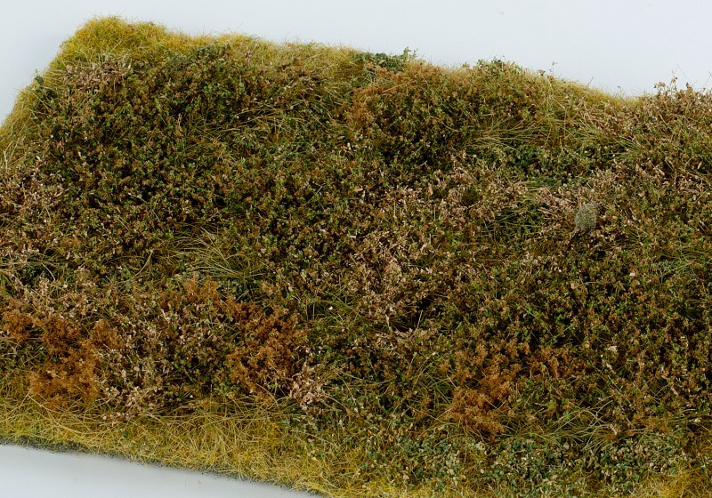 Divo�ina s ke�i - pozdn� l�to