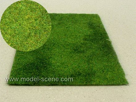 Se�en� louka letn�