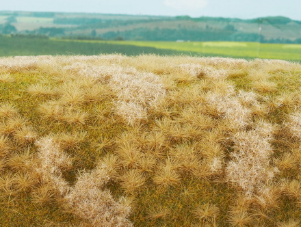 Neudr�ovan� louka pozdn� l�to