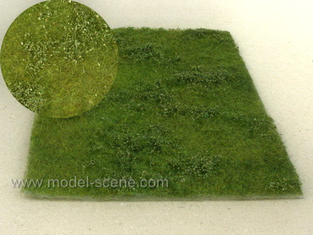 K�oviny n�zk� �asn� l�to