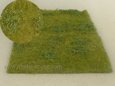 K�oviny n�zk� pozdn� l�to