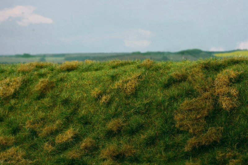 Neudr�ovan� louka �asn� l�to