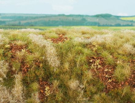 Step kamenit�, pozdn� l�to