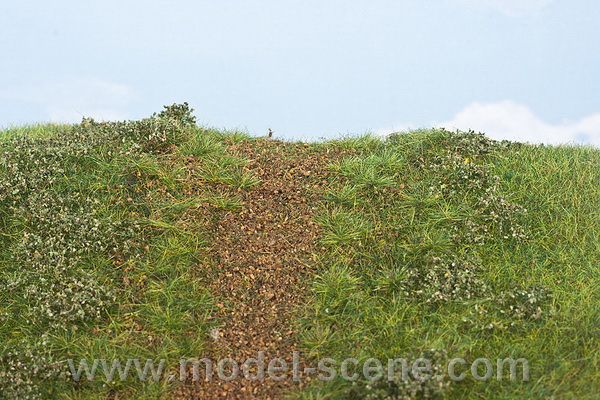 N�sep - �asn� l�to