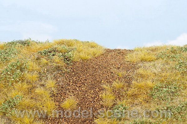 N�sep - pozdn� l�to