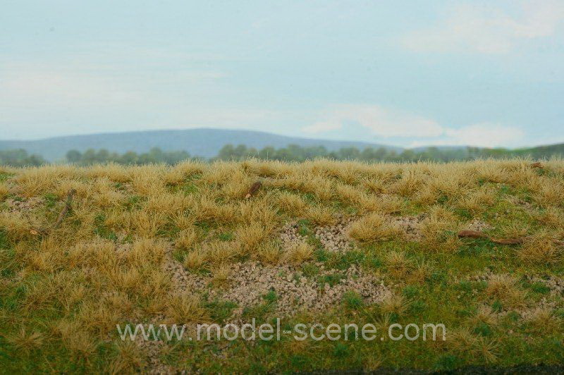 Lesn� z�klad - borovicov� les