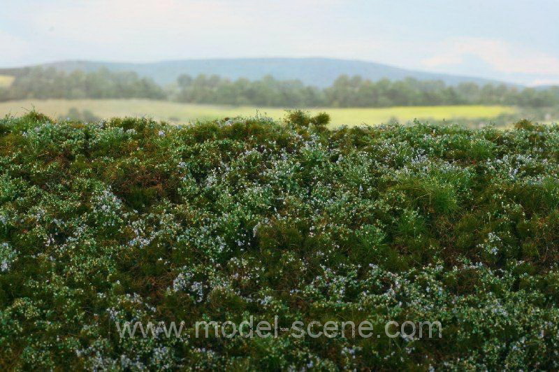 Lesn� z�klad - bor�vkovi�t�