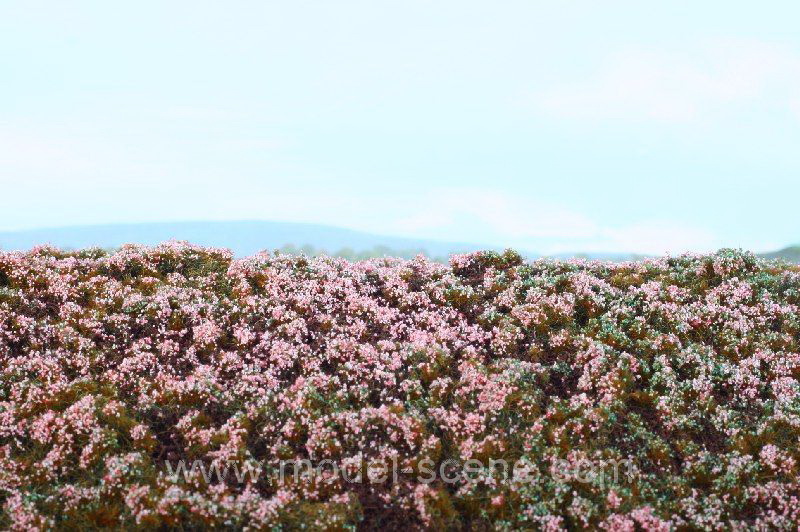 Lesn� z�klad - v�esovi�t�