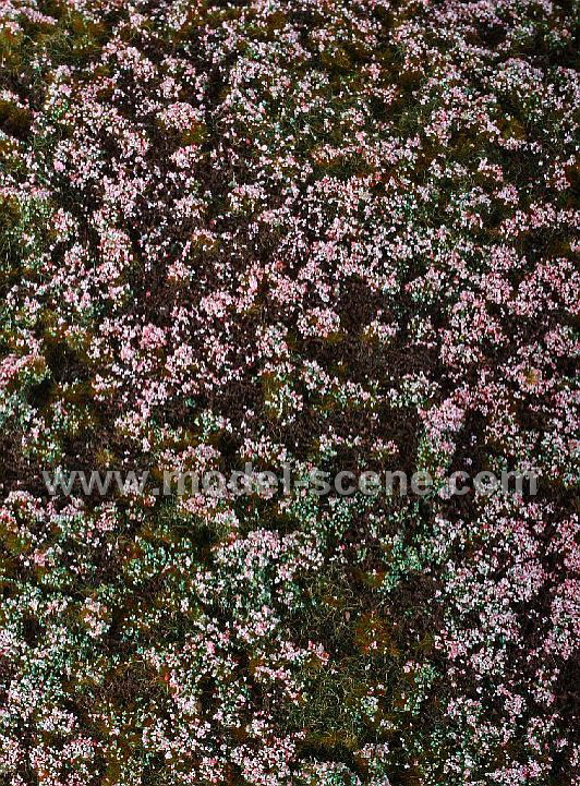 Lesn� z�klad - v�esovi�t� minipack