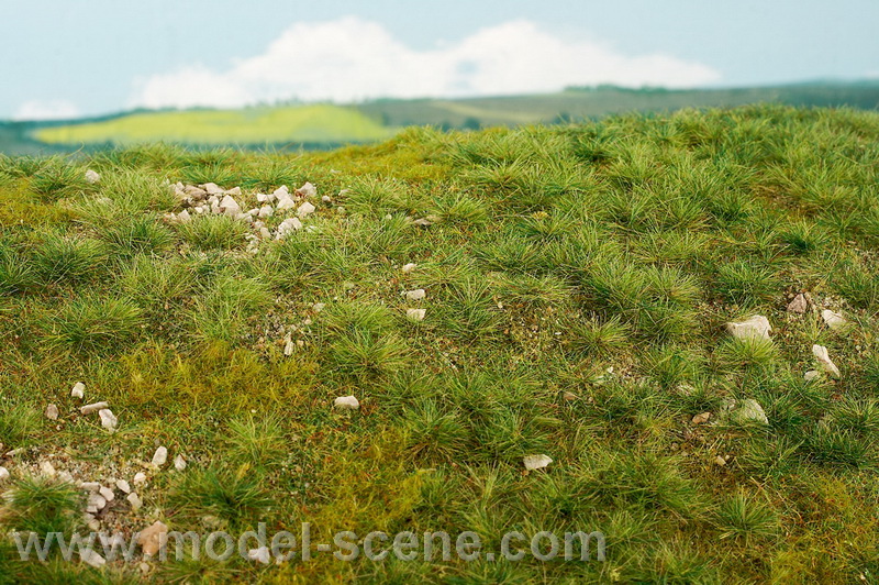 �asn� l�to - v�pencov� kameny S