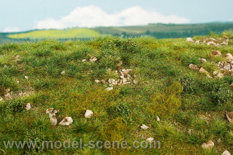 �asn� l�to - v�pencov� kameny M