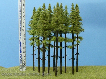 Mod��n s kmenem 150 mm