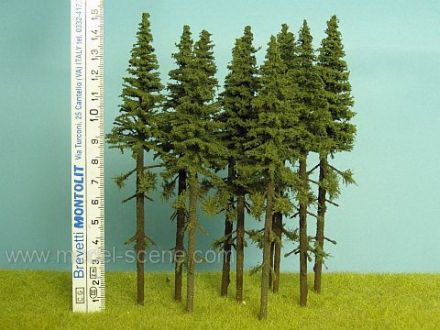 Smrk s kmenem 150 mm