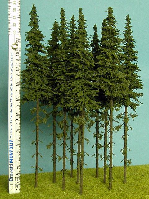 Smrk s kmenem 250 mm