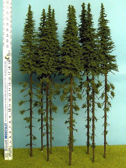 Smrk s kmenem 300 mm