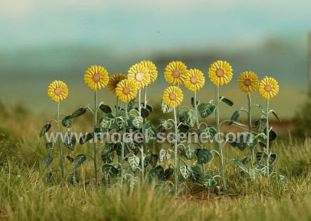 H0 Slune�nice - barven� fotolept