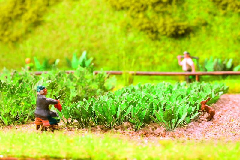 H0 Kedlubny Laser Cut 6 ks