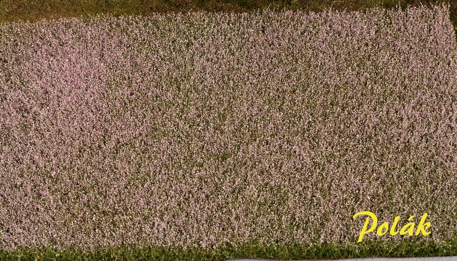 TOP IMITATION - makov� pole kvetouc�