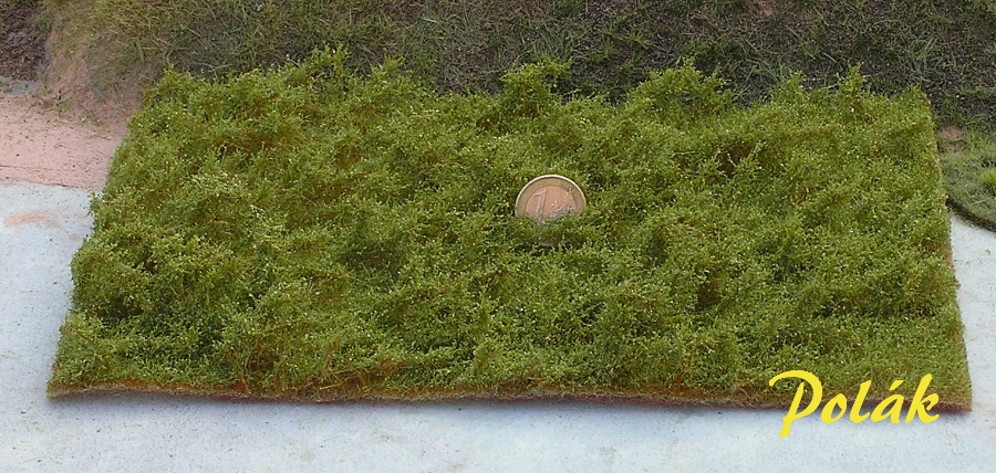 TOP IMITATION - divok� ke�e jarn�