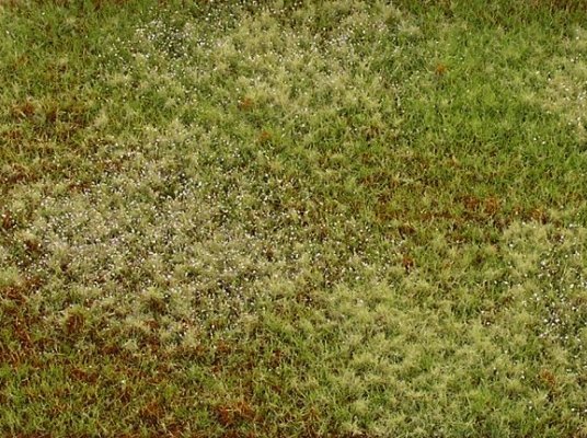 Neobd�l�van� louka - varianta E