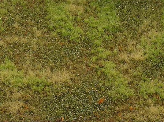 Neobd�l�van� louka - varianta F