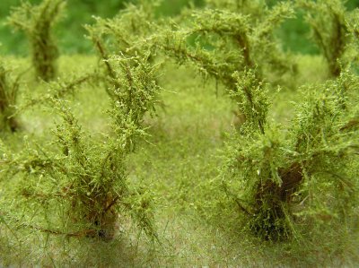 Vysok� ke�e mikro - zelen� b��zov�