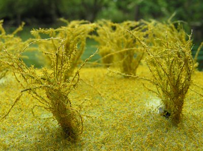 Vysok� ke�e kvetouc� - zlat� d隝