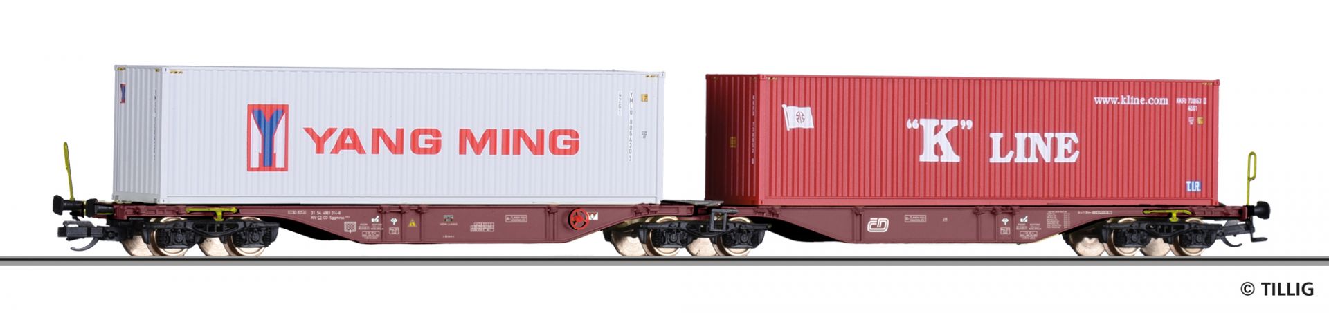 TT kontejnerovy vuz CD CARGO