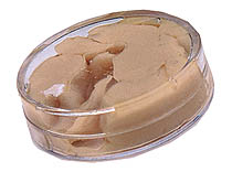 Vazel�na do p�evod�